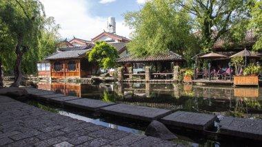 寻找火鸡